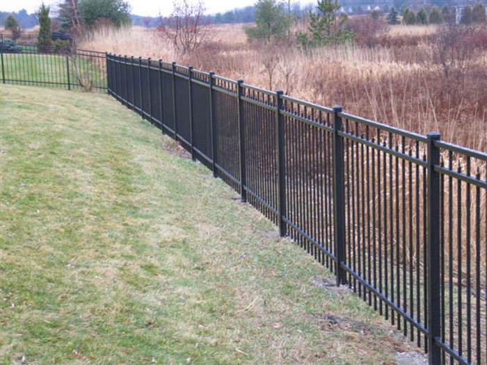 wrought iron fence 48.jpg
