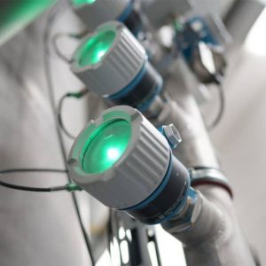 Endress Hauser Vibronic Point Level Detection Liquiphant FTL50 FTL51 FTL51B