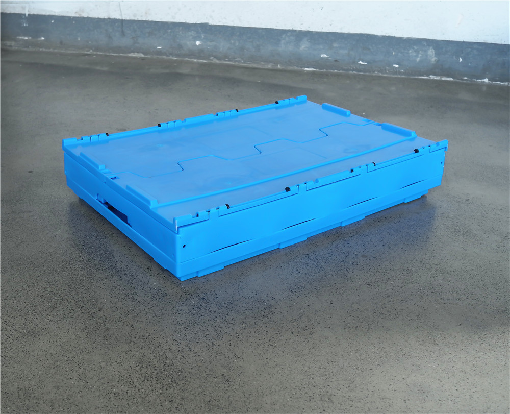 PE Material Custom Plastic Egg Tray for Food Storage Container Sturdy Mesh Style