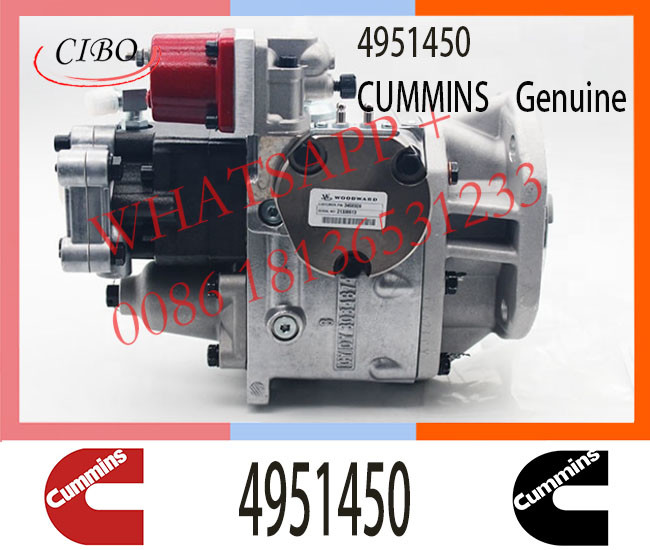 4951450 Diesel Pump for Cum-mins NTA855 NT855 NT855-C360 Engine PT Fuel Injector 4951450 3075882 4951440 4951441