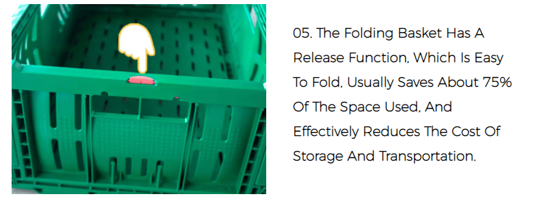 Reusable Virgin PP Storage Folding Collapsible Plastic Crate for Agriculture Fruits