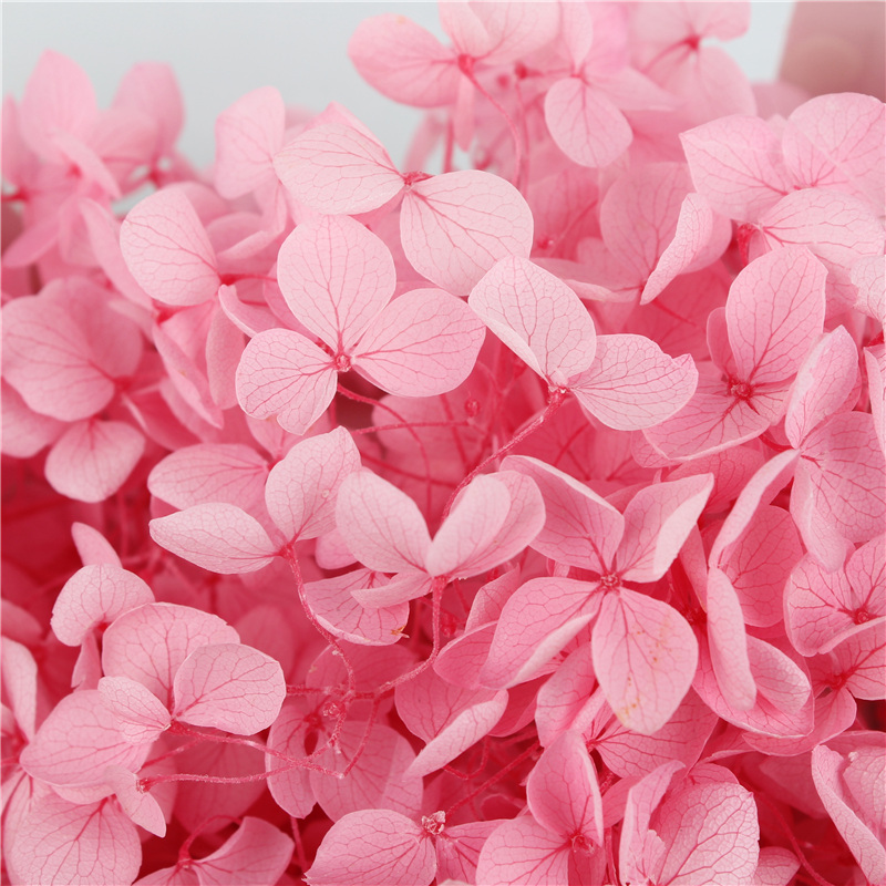 Beautiful A Grade Preserved Hydrangea Custom Color For Table Decoration