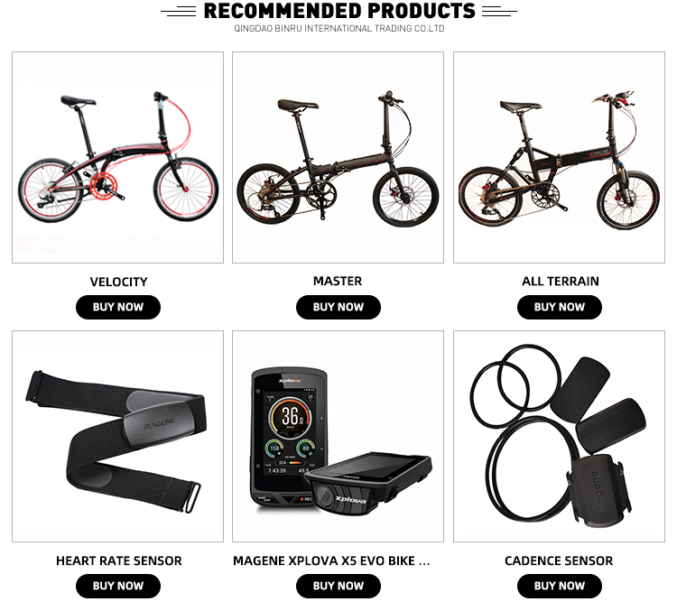 Lightweight 14 Inch Aluminum Alloy Single Speed Folding Bike For Outdoor Adventures