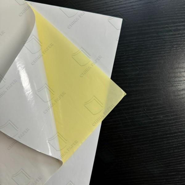 60g /70g /80g /90g Semi-glossy Label Paper With White Or Yellow Glassine Backing