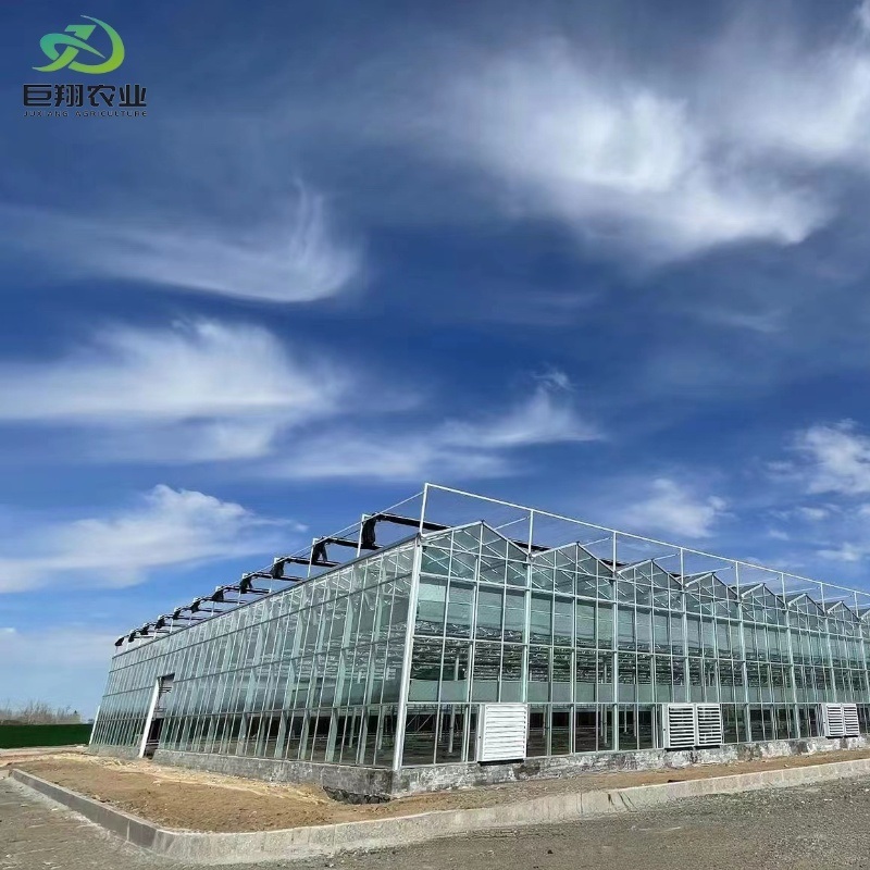 Agriculture Greenhouse Construction Polycarbonate Sheet Covered for Tomatoes