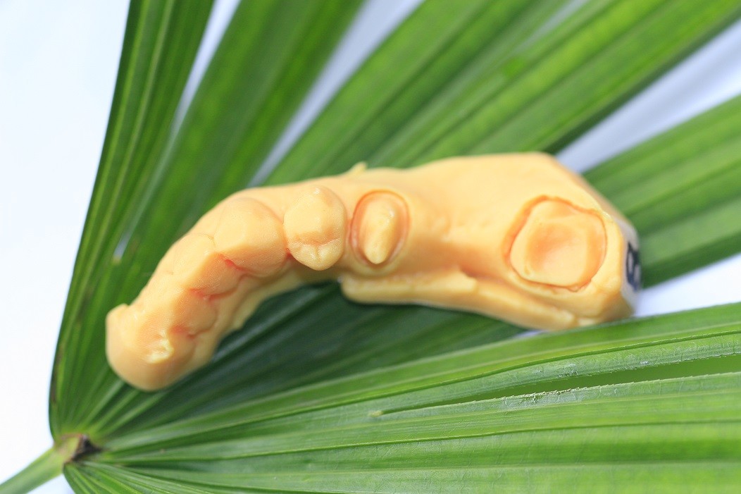 CAD CAM Photosensitive Resin Composite Dental 3D Print model