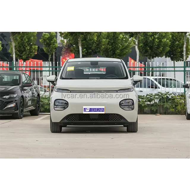 460km Range Pure Electric Vehicle with Front 6 Rear 6 Radar and Normal Cruise Control