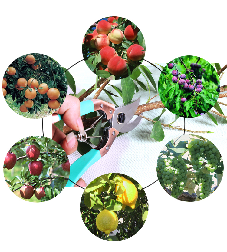 210mm Garden Farming Pruning Shears SK5 Carbon Steel Tree Cutting Scissors 20mm Cutting Capacity