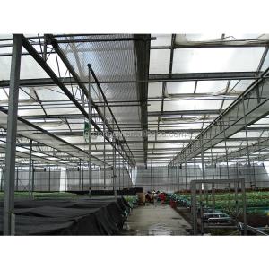 Polycarbonate Greenhouse Sheet with Customized Length and 9.6 Meter Tunnel Width