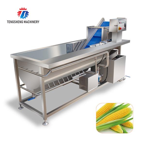 180KG Fruit and vegetable washing machine pepper vegetable spray washing machine