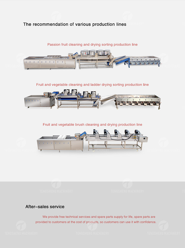 6 Liters 100KG/H SS Meat Processing Machine Food Crusher