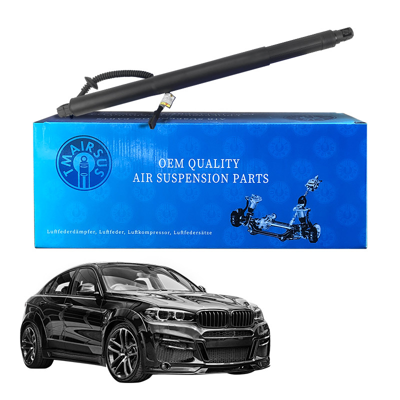 Back Tailgate Strut 51247318651 for BMW X6 F16 2015-2019 LH 1 plug