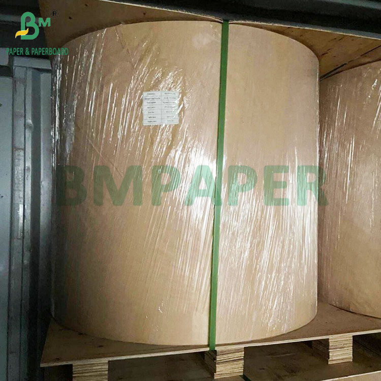 230g - 300g Food Grade PET Tray Liner Rolls For Ovens High Temperature