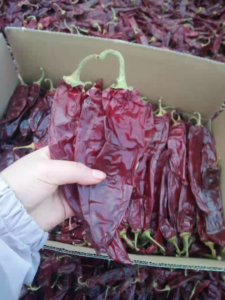 Whole Paprika Red Pepper Grade A With 1