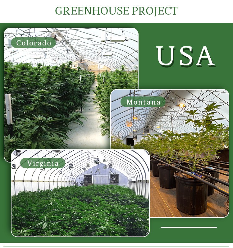 LED Light Secure Greehouse With Automatic Ventilation System And Shading System