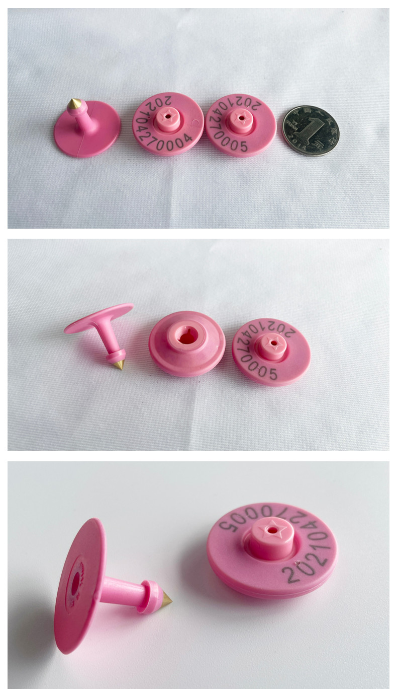 UHF Rfid Animal Ear Tag Pig Management 960MHz Anti Collision