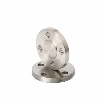 ANSI ASME B16.5 B16.47 304 316 RF FF Stainless Steel Blind Forged Pipe Fittings