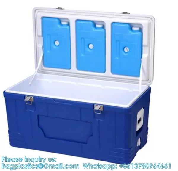 Custom Medical Organ Transport Portable Cooler Wine Beer Styrofoam Ice Chest