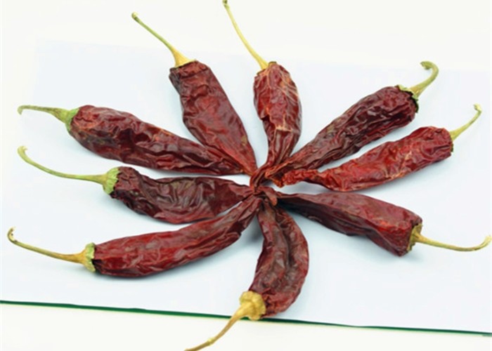 10-15cm Grade A Red Jinta Chilli Pepper 50BLS Bags Packaged