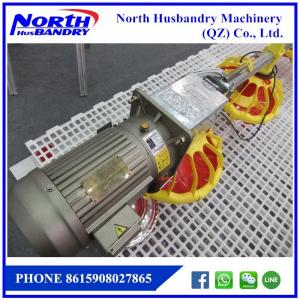 China poultry feed line for Automatic poultry broiler feed on sale