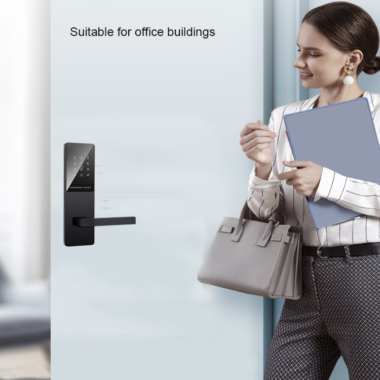 Black color TTlock Bluetooth app controlled door locks for apartment home office