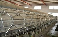 2.7mm/3.4mm hot dipped Galvanized Gabion Box /gabion mesh/gabion mattress with