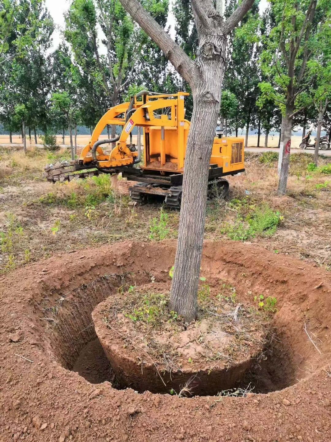 tree mover machine price manufacturer address how much money, tree digging machine moving tree machine manufacturer