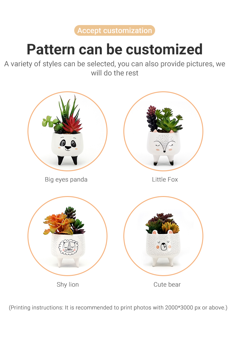 3d Animal Instagram Ceramic Mini Succulent Plant Flower Pots Customized