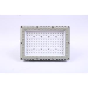  Explosion Proof LED Flood Light Durable and High-Performance Lighting for Hazardous Environments Manufactures