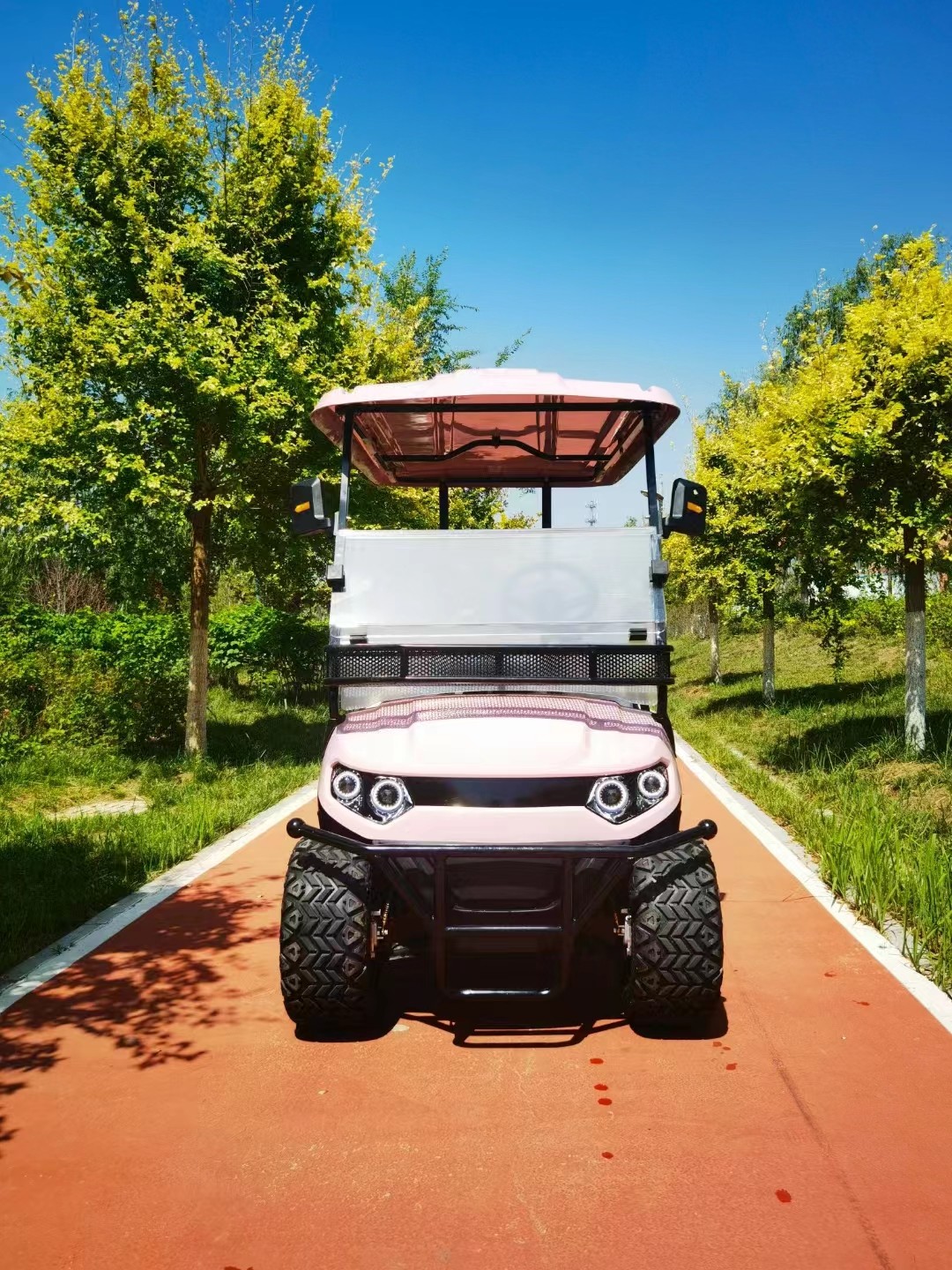 Pink 4kw High Power Electric Golf Cart Off-Road Tire McPherson Independent Suspension