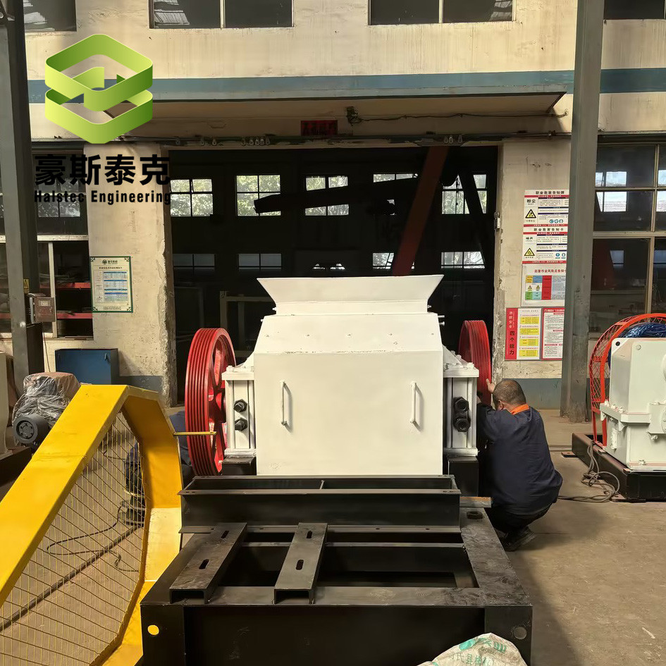 Fully Automatic Raw Processing Machine Model GS800*600 for Clay Brick Making