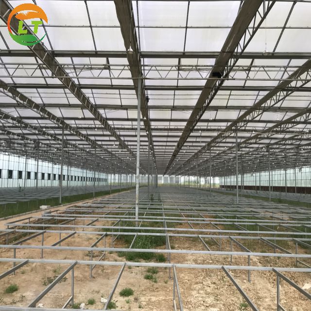 Multi-Span Agricultural Greenhouses with Hot Galvanized Steel Transparent Solar Panels