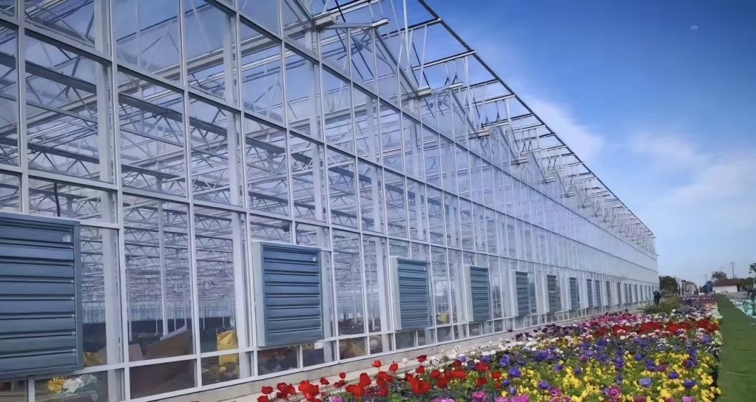 Greenhouse Hydroponics Growing System for Vegetables
