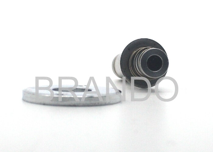 Thread Connection Silvery Solenoid Stem High Precision With External Spring