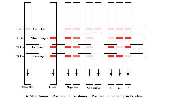 Streptomycin Gentamicin And Kanamycin Combo Rapid Test Strip 96 Tests/Kit