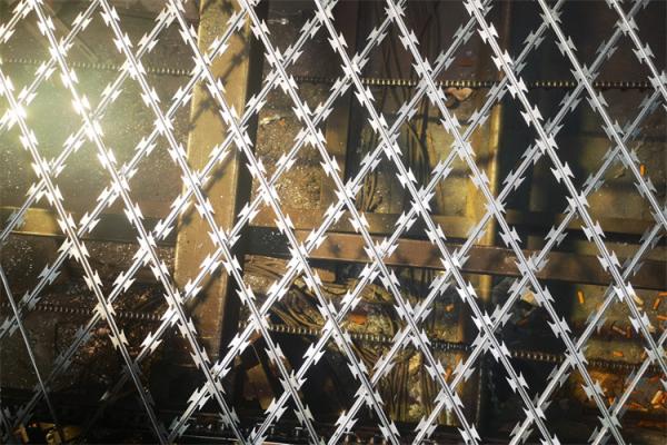 South Africa Bto22 Hot Dipped Galvanized Concertina Razor Barbed Wire Fence For