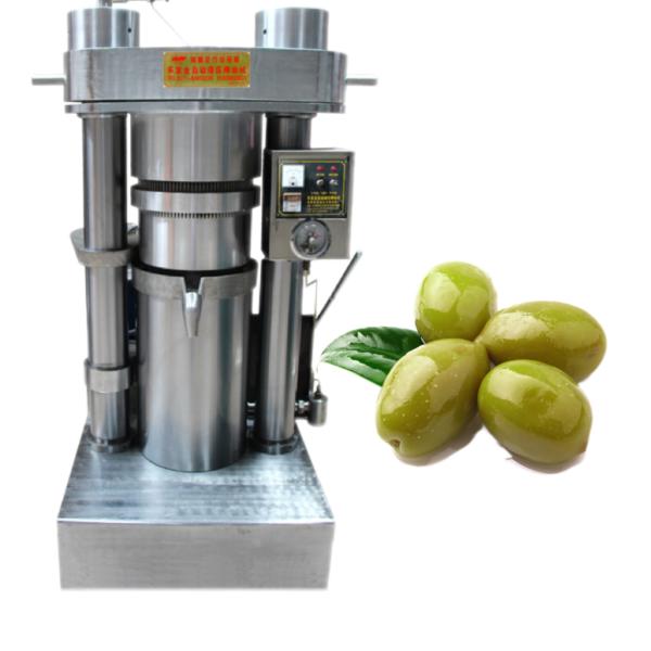 High Pressure 60Mpa Industrial Avocado Olive Oil Press Machine With 1600 Kg