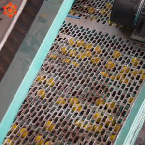 High Efficiency Pine Nut Dehulling Machine Good Mechanical Stability Easy To