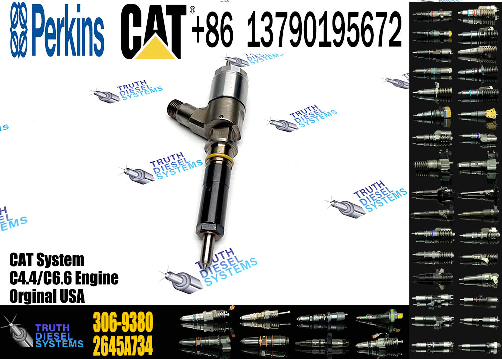 C4.4 C6.6 Engine Fuel Injector 320-0690 292-3790 306-9390 10R-7673 2645A746 2645A749 2645A747