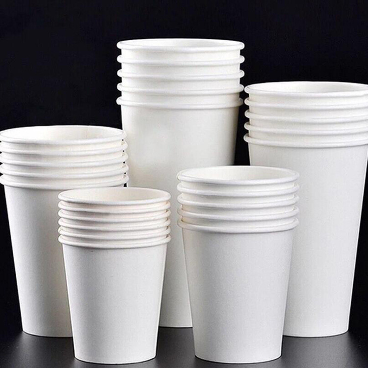 8oz Biodegradable Single Layer Paper Cup And Lid For Eco-Conscious Businesses Sustainable Tableware