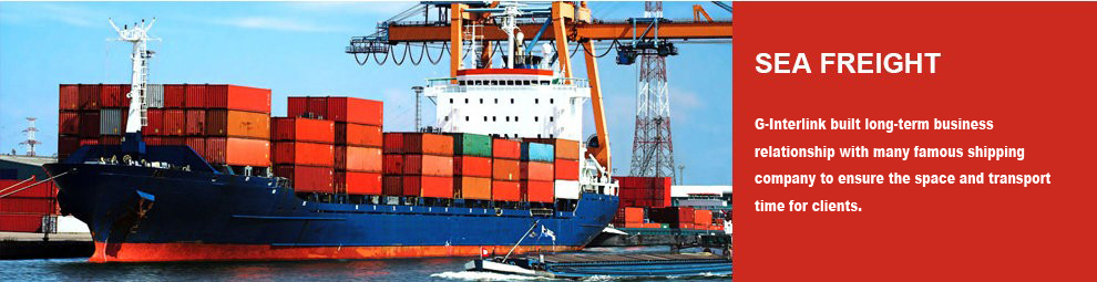 MSC Carrier 40HQ Sea Freight Shipping To Greece Professional Tracking