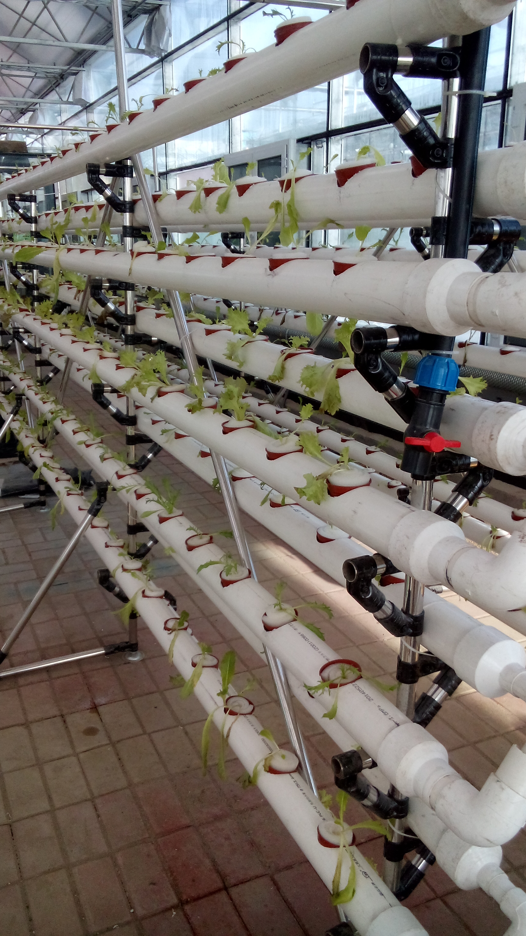 Chinese factory industrial hydroponics growing systems NFT for sale