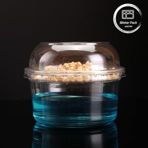Customizable 8-32oz Clear Plastic Salad Containers with Leakproof Lids