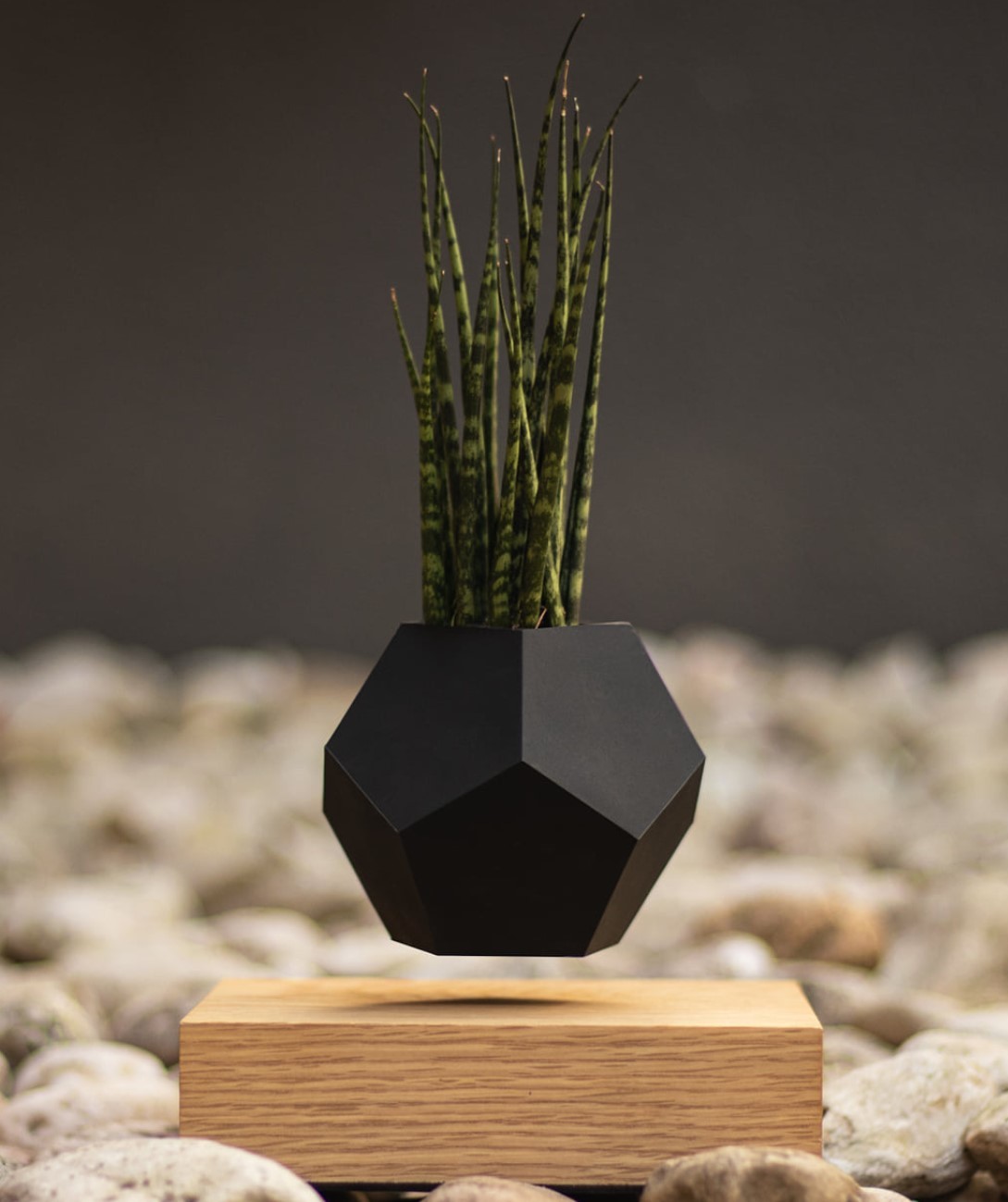 colorful magnetic levitation floating air bonsai plant pot ,magnetic levitation display racks