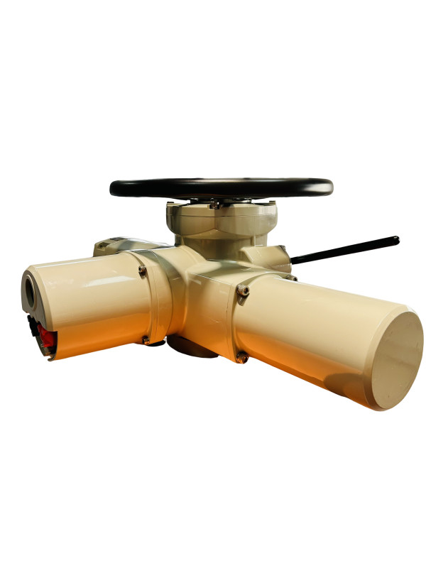 Multi Turn Explosion Proof Electric Actuator 220V AC Custom Motor Power 0.18 KW