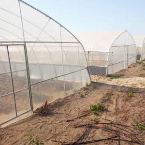  Plastic Film Covering Shed Agricultural 8M Single Span High Tunnel Greenhouse Manufactures