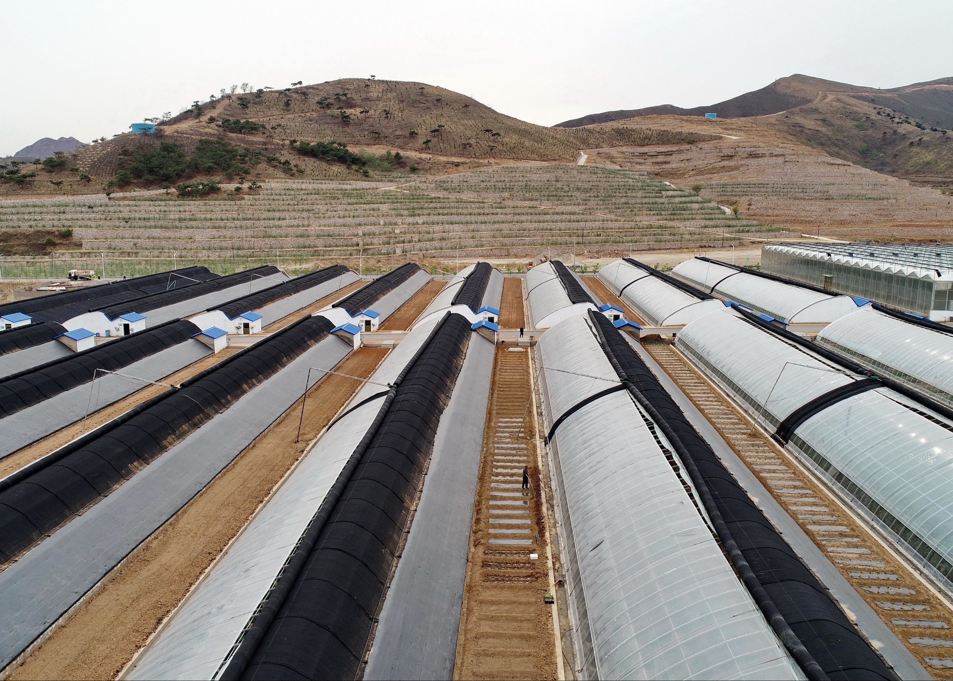 Shading , Reduce to Water Evaporation PP Nonwoven for Agricultural