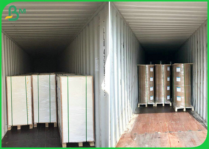 FSC Certified 80gsm - 120 gsm UWF Uncoated Woodfree Paper in reels For bags