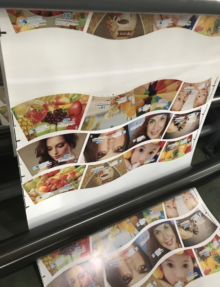 Luxury Paper Bag Flexo Printing Machine
