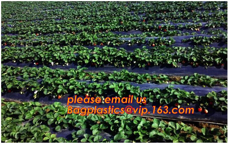 Custom biodegradable agriculture plastic mulch film,tubular roll with black colour for agricultural mulch film BAGEASE
